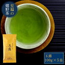 【得々】嬉野茶 玉露(100g×5本)【2025新茶】60年続く伝統のお茶 希少な玉露の味と香り 緑茶の最高峰 九州 佐賀県産(4)