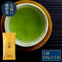 【業務用】【嬉野茶 玉露(100g×5本)】60年続く伝統のお茶 希少な玉露の味と香り 緑茶の最高峰 九州 佐賀県産