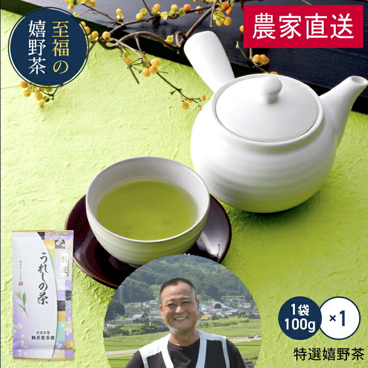農家直送 特選嬉野茶（100g）すぐ飲める！何煎も飲める日本茶！100gで100杯以上飲める力強い緑茶！九州 佐賀県産 ギフト プレゼント 母の日 父の日 お歳暮 お中元 産地直送 お取り寄せ 手土産 飲み物 詰め合わせ 【送料無料】
