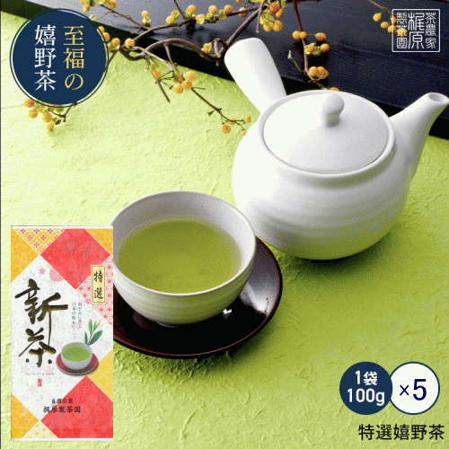 【2024新茶】【得々】【特選嬉野茶(100g×5)】昔懐か