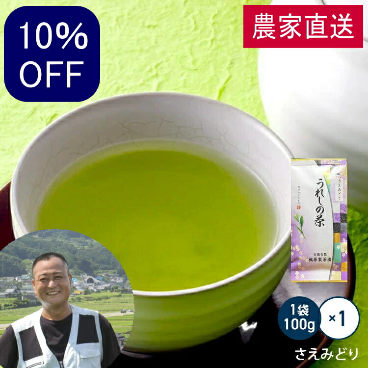 スーパーSALE10%OFF 農家直送 嬉野茶 さえみどり（100g×1本）昔懐かし味 すぐ飲める！何煎も飲める日本茶！100gで100杯以上飲める力強い緑茶！九州 佐賀県産