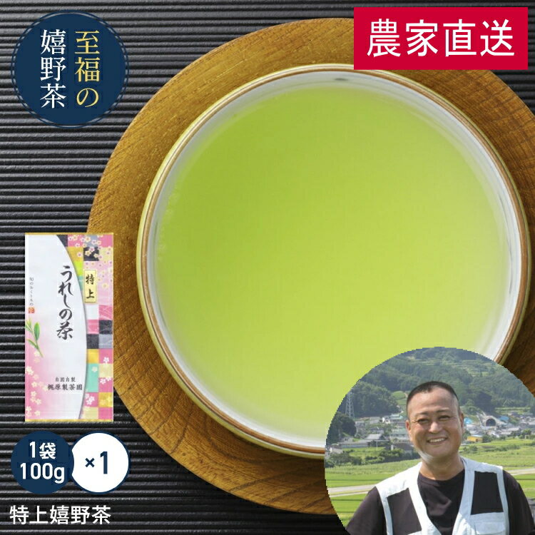農家直送 特上嬉野茶（100g）昔懐かし味 日本茶 緑茶 煎茶 送料無料 茶葉 お茶 ドリンク ポイント消化 送料無 食品 食品・フード ギフト 飲み物 詰め合わせ
