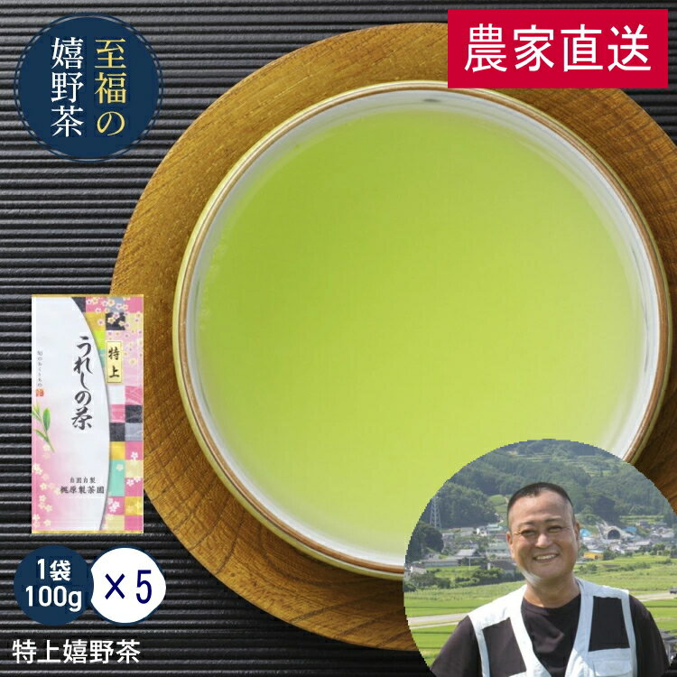 農家直送 特上嬉野茶（100g×5）お茶 日本茶 緑茶 煎茶 送料無料 茶葉 すぐ飲める！何煎も飲める日本茶！お茶 ドリンク 送料無料 食品 食品・フード ギフト 飲み物 詰め合わせ