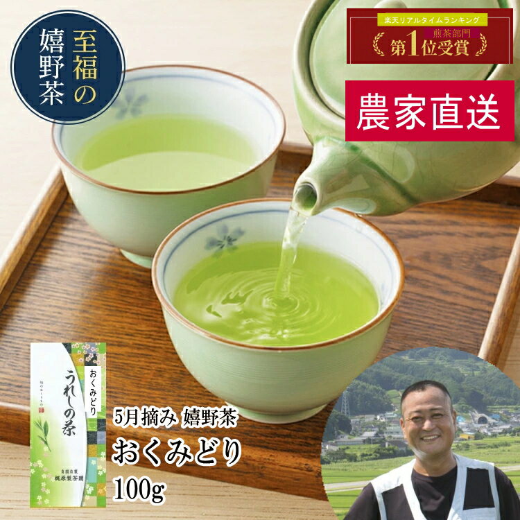 スーパーSALE10％OFF 農家直送 おくみどり（100g×1本）昔懐かし味 熱湯でも水でも美味 サッと出る 何煎も飲める 100gで100杯以上飲める力強い緑茶！ 九州 佐賀県産 茶 日本茶 緑茶 煎茶 送料無料 茶葉