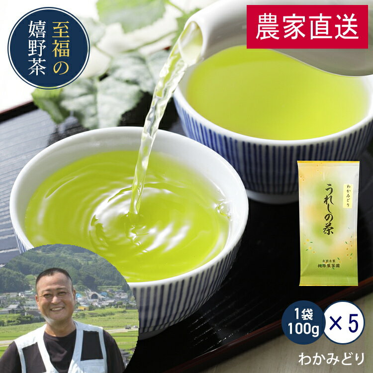 農家直送 嬉野茶 わかみどり（100g×5本）昔懐かし味 お茶 日本茶 緑茶 煎茶 茶葉 玉緑茶 ぐり茶 九州 お茶 ドリンク ポイント消化 送料無 食品 食品・フード ギフト 飲み物 詰め合わせ