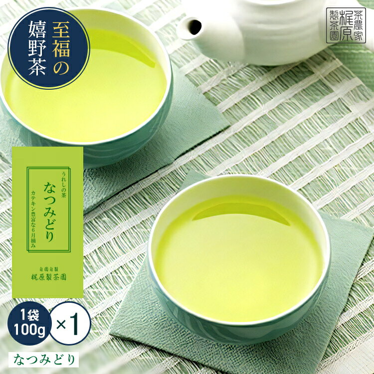 楽天茶農家　梶原製茶園【嬉野茶 なつみどり（100g）】日本茶 緑茶 煎茶 すぐ飲める！お茶 茶葉 何煎も飲める力強いお茶！九州 佐賀県 嬉野茶 茶 ギフト プレゼント 母の日 父の日 お歳暮 お中元 産地直送 お取り寄せ 手土産 【送料無料】