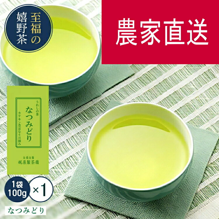 【農家直送】なつみどり（100g）日本茶 緑茶 煎茶 すぐ飲める！お茶 茶葉 何煎も飲める力強いお茶！九..