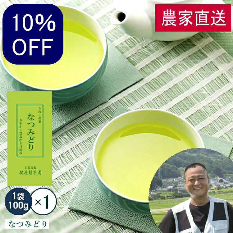 スーパーSALE10％OFF 農家直送 なつみどり（100g）日本茶 緑茶 煎茶 すぐ飲める！お茶 茶葉 何煎も飲める力強いお茶！九州 佐賀県 嬉野茶 茶 ギフト プレゼント 母の日 父の日 お歳暮 お中元 産地直送 お取り寄せ 手土産 【送料無料】