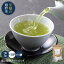 【業務用】【タグ付】【嬉野茶 極上緑茶ティーバッグ(2g×50包×10袋)】4月摘上級茶葉使用 お茶 ティーパック ティーバッグ 緑茶 日本茶 ポンッ＆ポイッで簡単美味