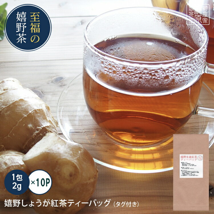 【お試しサイズ】【タグ付】【嬉野しょうが紅茶ティーバッグ(2g×10包)】お茶 日本茶 和紅茶 茶葉 国産紅茶 九州 うれしの紅茶