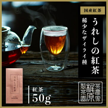 嬉野茶 うれしの紅茶（50g） 日本茶 緑茶 煎茶 希少品種ザイライ100% 送料無料 茶葉 渋みのある国産紅茶 2年以上熟成紅茶 楽天デイリーランキング第4位 九州 佐賀県産