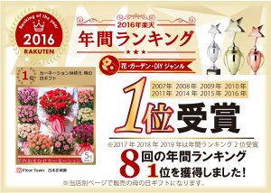母の日に人気 カーネーション以外のおしゃれで珍しい鉢植えのおすすめランキング わたしと 暮らし 母の日に人気 カーネーション以外のおしゃれで珍しい鉢植えのおすすめランキング わたしと 暮らし