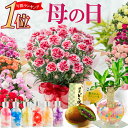 母の日 プレゼント カーネーション 鉢植え ギフト 幸せ特典 幸福の木 ハーバリウム ディフューザー 花とスイーツのセット