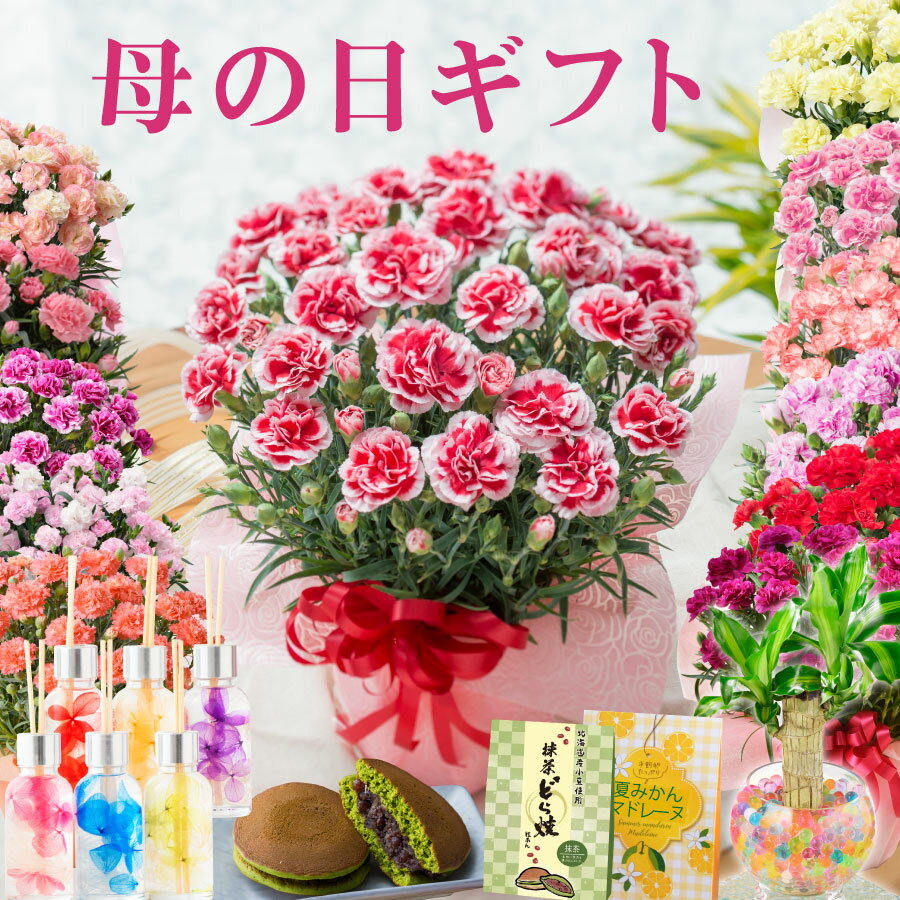 Fleur Town 吉本花城園