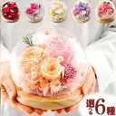 ランキング入賞 プリザーブドフラワー 花 ギフト ガラス ドーム 置物 バラ アジサイ ドライフラワー プレゼント インテリア 玄関飾り 退職祝い お祝い お花 結婚祝い 結婚記念日 誕生日