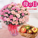 ポイント5倍 母の日 プレゼント ギフト 2色咲き カーネーション「エクレア」とひょこりアニマルドーナツセット母の日限定 吉本花城園