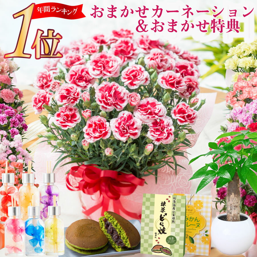 母の日 カーネーション プレゼント 鉢植え 5号 ギフト花色おまかせとおまかせ特典 花とお菓子 スイーツセット 吉本花城園