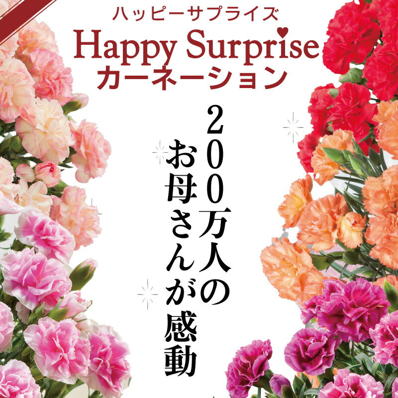 早割中 母の日 花 ギフト プロが選ぶ カーネーション 特典いっぱいでお母さんの笑顔も咲く！花色選べる プレゼント 2026 鉢植え 5号 選べる特典 お菓子 観葉植物 パキラ スイーツセット 吉本花城園カレンダー付