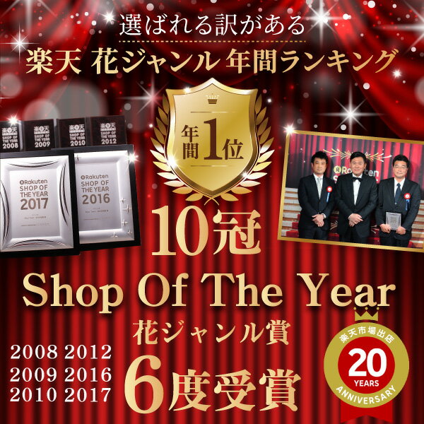 ����� ����� �ץ쥼��� �����͡������ ���ե� 5��ȭ �ץ������� �ֿ����٤� ȭ���� �ץ쥼��� 2026 ���٤���ŵ �������ĥ��å� �ɤ�Ƥ� GODIVA ���ܲ־�� �֥��������� �������� ����̵��