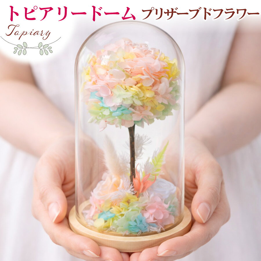 ドーム入りアレンジMオレンジのカーネーションプリザーブドフラワー プレゼント ギフト 誕生日 記念日 結婚祝い お祝い 枯れない花 インテリア プリザーブドフラワー[PW]