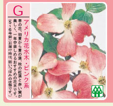 春の花と秋の紅葉を楽しめるおすすめの花木です。【いきなり060905】花の会1月商品【g】花みず...