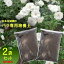 バラの土 吉本花城園の バラの培養土 2袋セット 他商品との同梱不可