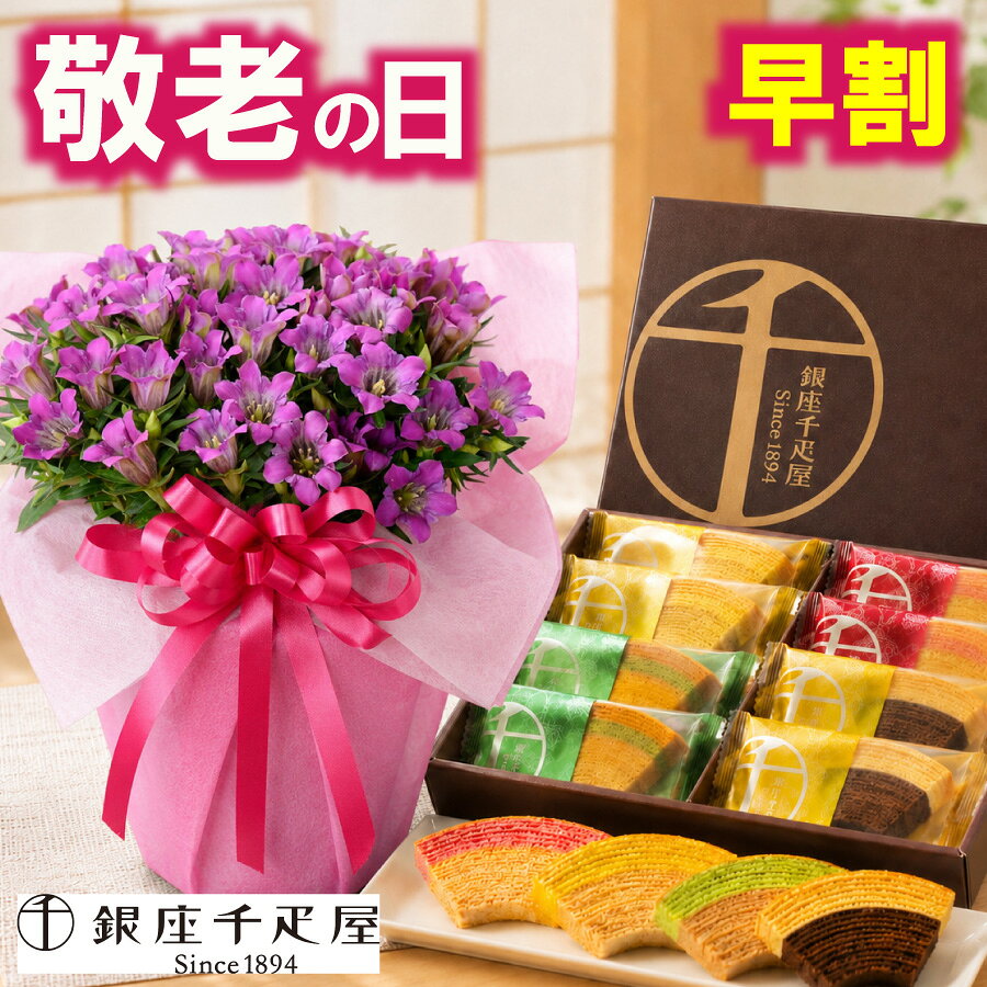 早割 敬老の日 ギフト リンドウ ピンク系 心美舞 4.5号鉢植え 銀座千疋屋フルーツ...
