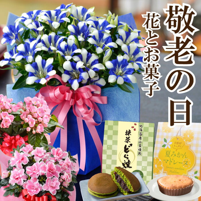 敬老の日 早割 プレゼント 花とスイーツ ギフト 選べるお花 リンドウ白寿 におい桜 アザレア 選べる お菓子 抹茶どら焼きや夏みかんマドレーヌ