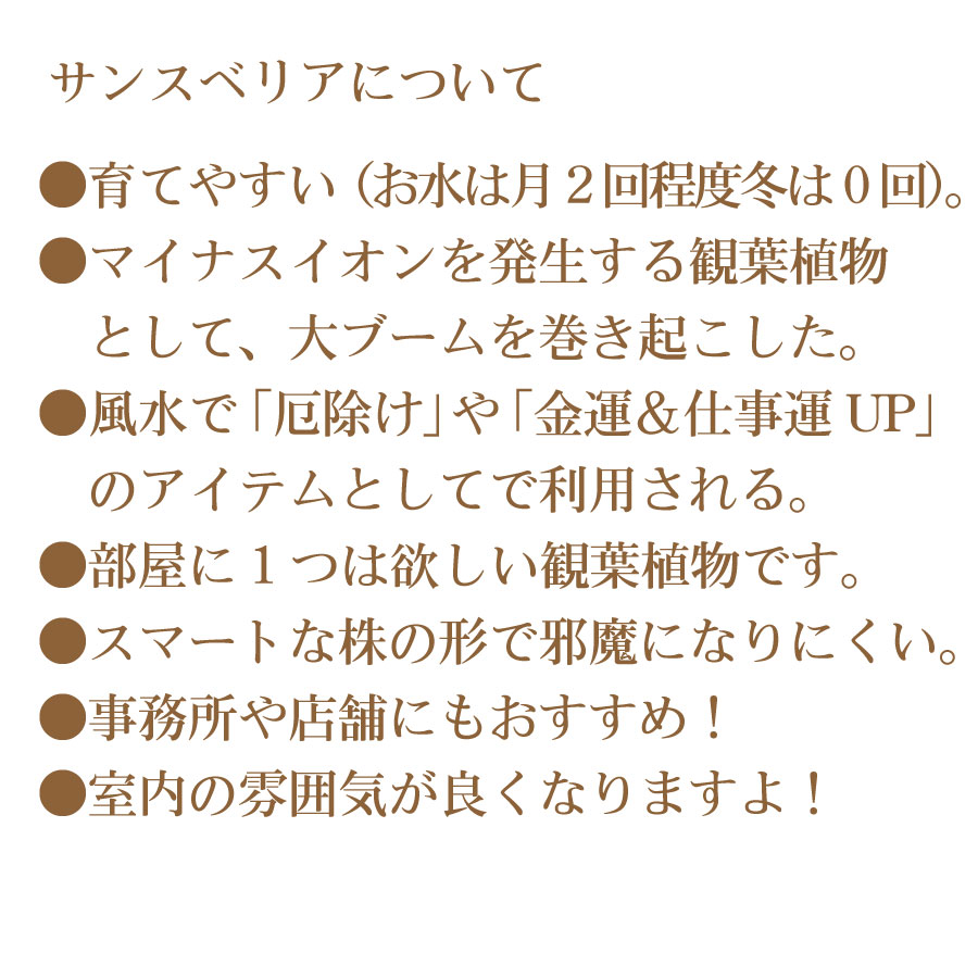 thum2