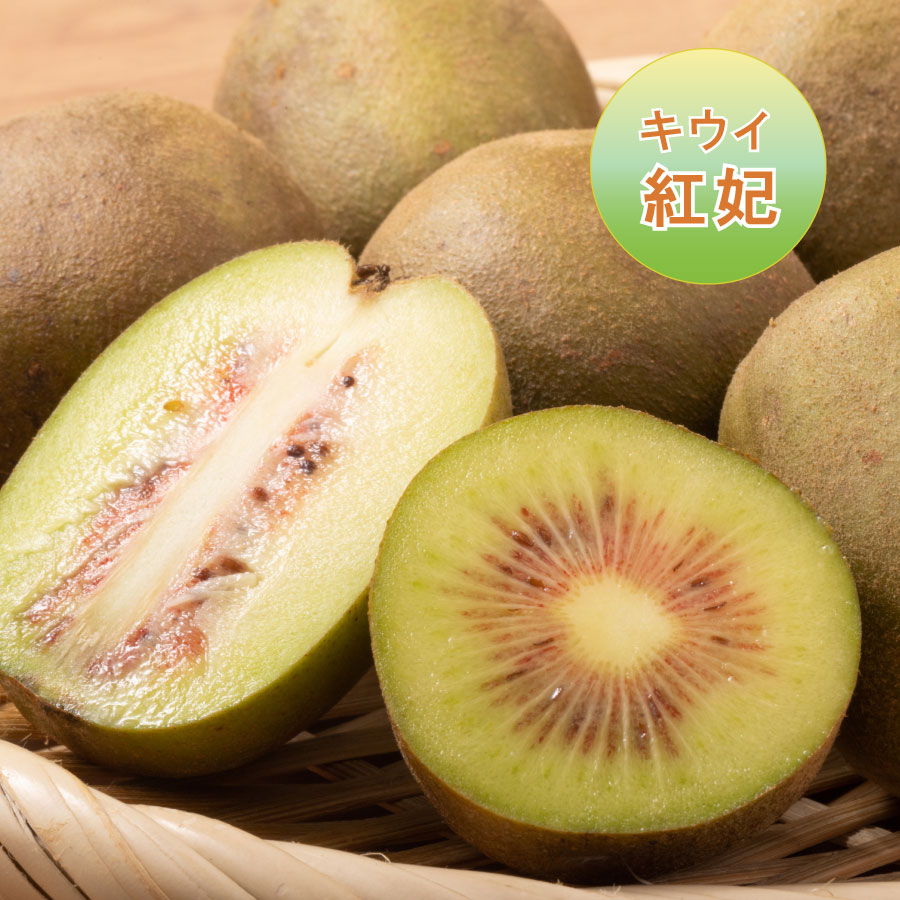 ̼     4ݥå  ̼ ղ̼ 塼 ե롼