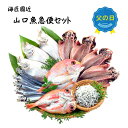 父の日 ギフト プレゼント 海匠國近 山口魚急便 海鮮 山口県産の干物セット アジ カレイ 連子鯛 のどぐろ 釜揚げちりめん うるめイワシ 2025