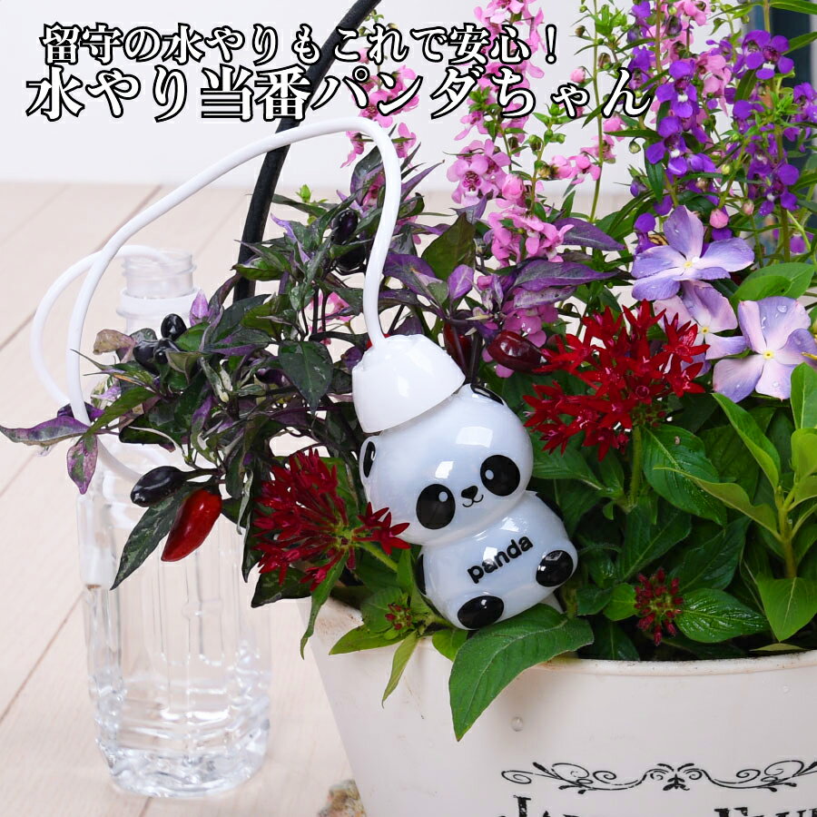 夏のお留守もこれで安心 自動 水やり当番 パンダちゃん