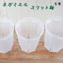 スリット鉢 ネガミエル 5号 透明 NEgamieru 1個 または 3個セット ねこチップ 浅岡園芸 観葉植物 おすすめ 人気の プラ鉢 カラテア ポトス フィロデンドロン などの 観葉植物 にオススメ