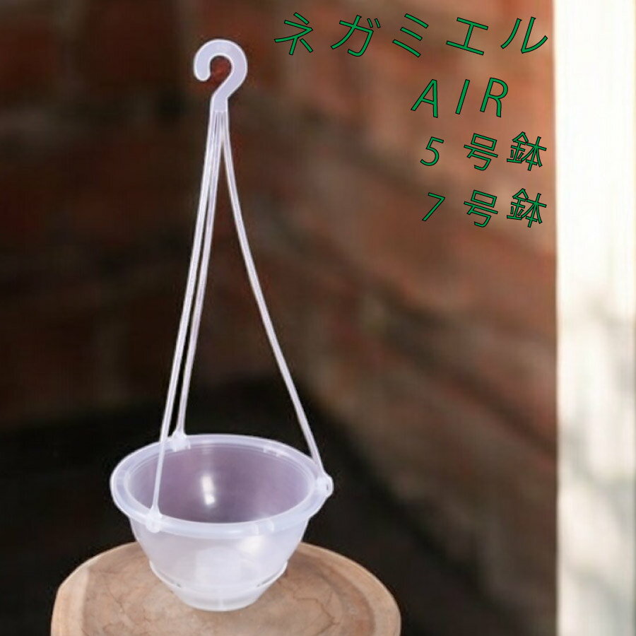 吊り鉢 ネガミエル エアー AIR 5号 7号 透明 1個 または 3個セット NEgamieru ねこチップ 浅岡園芸 観葉植物 おすすめ 人気の プラ鉢 カラテア ポトス フィロデンドロン などの 観葉植物 にオススメ