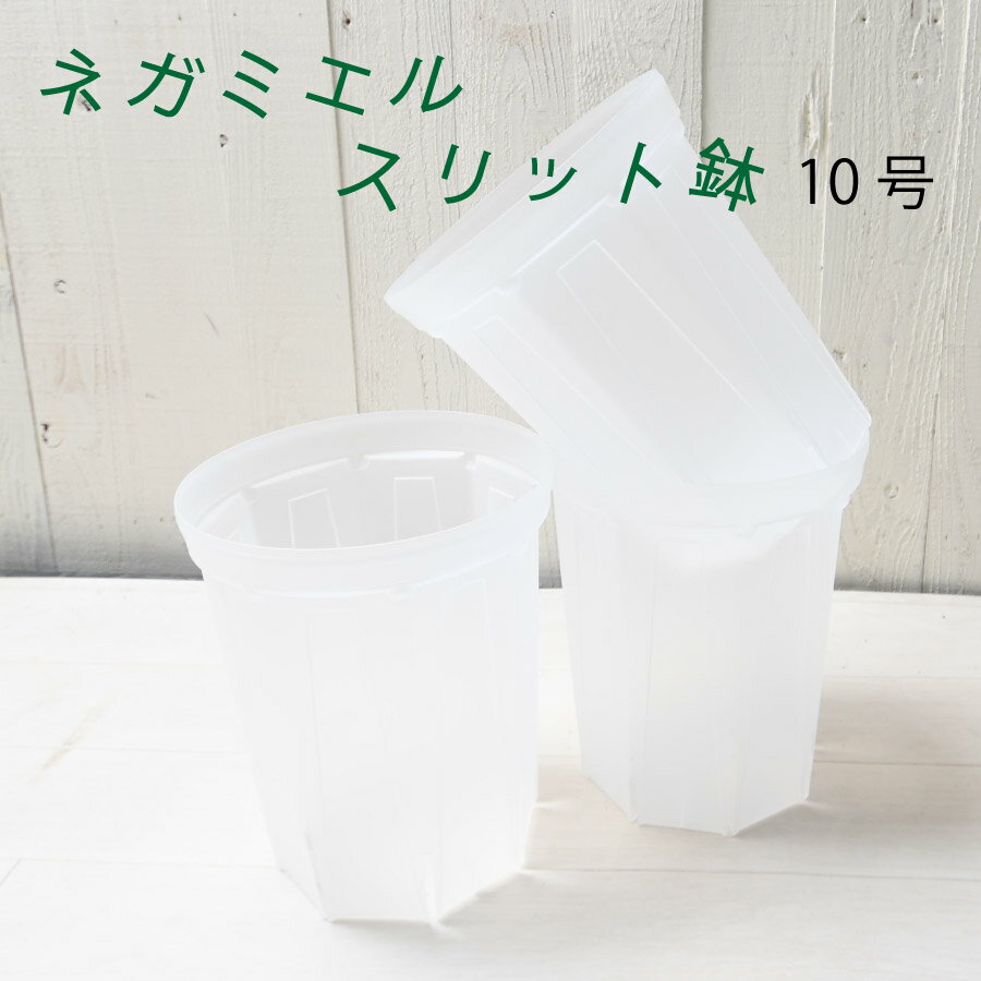 スリット鉢 ネガミエル 10号 透明 1個 または 3個セット NEgamieru ねこチップ 浅岡園芸 観葉植物 おすすめ 人気の プラ鉢 カラテア ポトス フィロデンドロン などの 観葉植物 にオススメ 大きな鉢