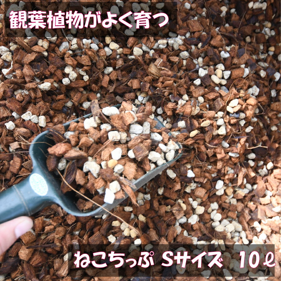 ねこチップ（Sサイズ） 10リットル 【送料無料】観葉植物が元気に大きく育つ 話題の土 お得な大容量 室内向き カラテア ポトス フィロデンドロン などの 観葉植物 にオススメ