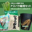 家庭菜園はじめませんか？アスパラガス・ベランダ栽培セット【苗2、セラアート尺1、土10L1、たい肥5L1、ひゅうが土5L1】