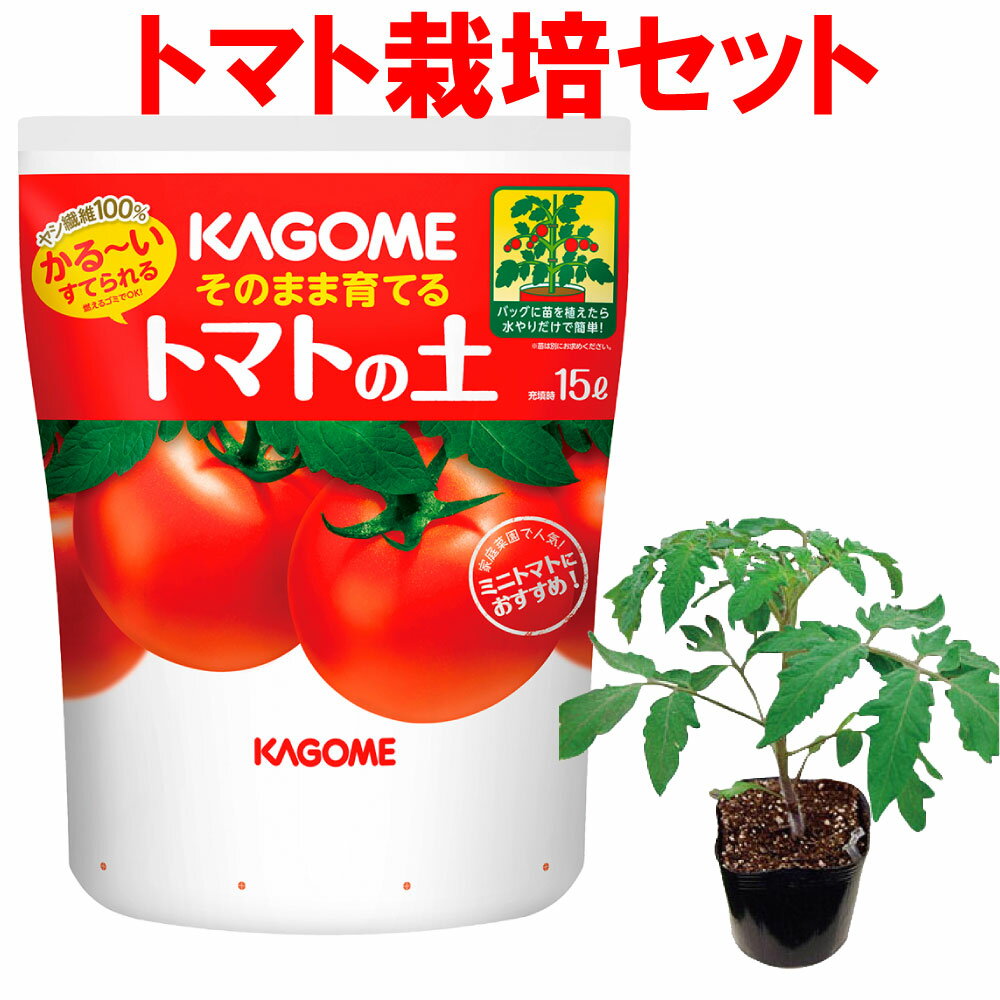 トマト 栽培セット そのまま育てる トマトの土 15L 専用支柱 野菜 品種：マンマミ...