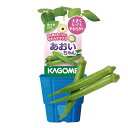 KAGOME カゴメのオクラ苗 3号ポット あおいちゃん 野菜苗 家庭菜園 ベランダ菜園 ご予約品 6月上旬よりお届け