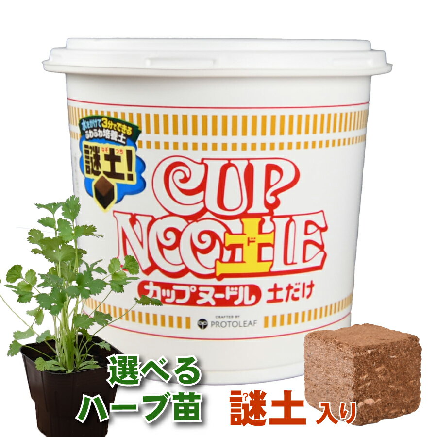 CUP NOO土L カップヌー土ル 土だけ 謎土 謎肉 野菜苗 ハーブ苗 パクチー レモンバーム コモンタイム スペアミント 家庭菜園 ベランダ菜園 日清 カップヌードル ギフト 自由研究 鉢と土 セット プロトリーフ 4535885249344のサムネイル