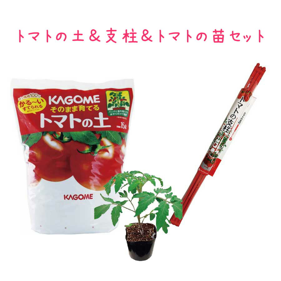 トマト 栽培セット そのまま育てる トマトの土 15L 専用支柱 野菜 KAGOME カゴメの...