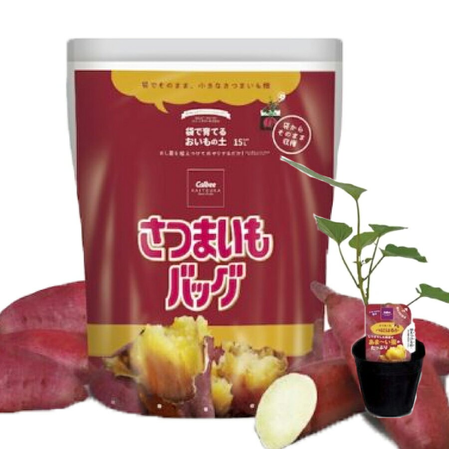 カルビー さつまいも 栽培セット 袋で育てる おいもの土 さつまいもバッグ 15L さし苗 べにはるか 野菜 さつまいもの土・苗のセット 【ご予約品】