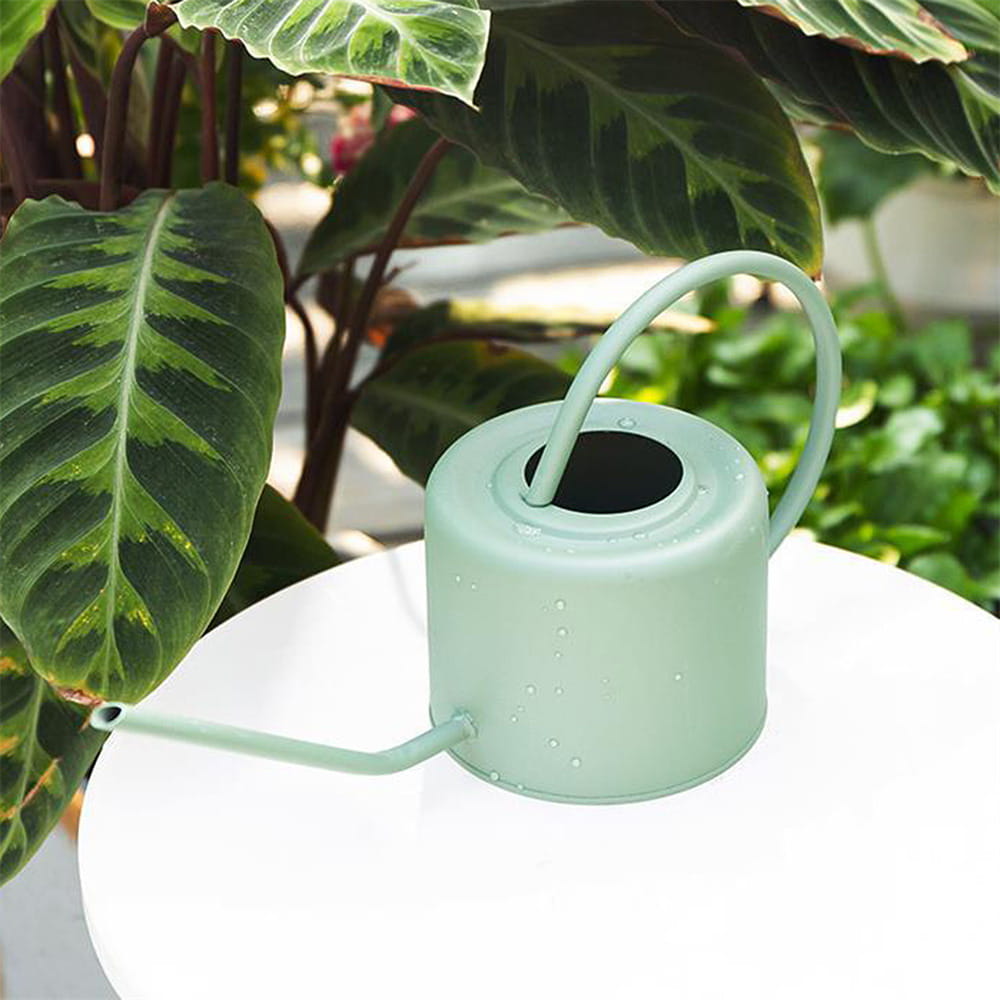 ���礦�� ���祦�� ������� 1000ml ���ƥ�쥹�� �ɻ� ���� �٤� ����̵�� ���硼�� ���� ���襤�� �ڤ� �Ѿ׷��� �庹�� �̲� �����ǥ˥� ���� ���� ������� ��������å��� ���ե�