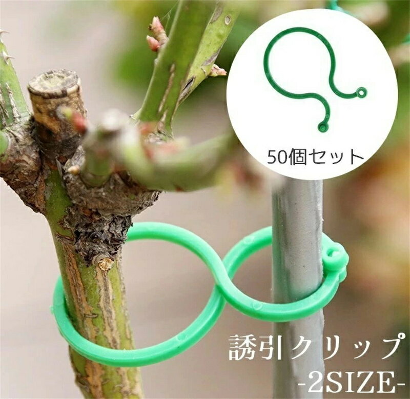 植物のつるや茎を固定する50個入りの誘引クリップ。 支柱や添え木なども留められます。 小と大の2つのサイズをお選びいただけます。 【サイズについて】 画像をご参照ください。 【カラーについて】 生産ロットにより柄の出方や色の濃淡が異なる場合がございます。 お使いのモニターや撮影時の光の加減などにより 画像と実際の商品のカラーが異なる場合もございます。 予告なしにカラーやデザインなどの変更がある場合もございます。 【素材について】 プラスチック