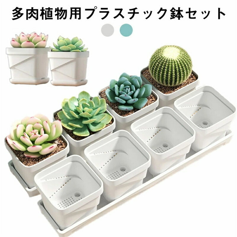Rakuten - 多肉 プランター 植木鉢 プラスチック フラワーポット 多肉鉢 サボテン鉢 受け皿 スクエア 可愛い おしゃれ ガーデニング 観葉植物 多肉ポット インテリア置物 装飾 玄関 リビング ベランダ バルコニー