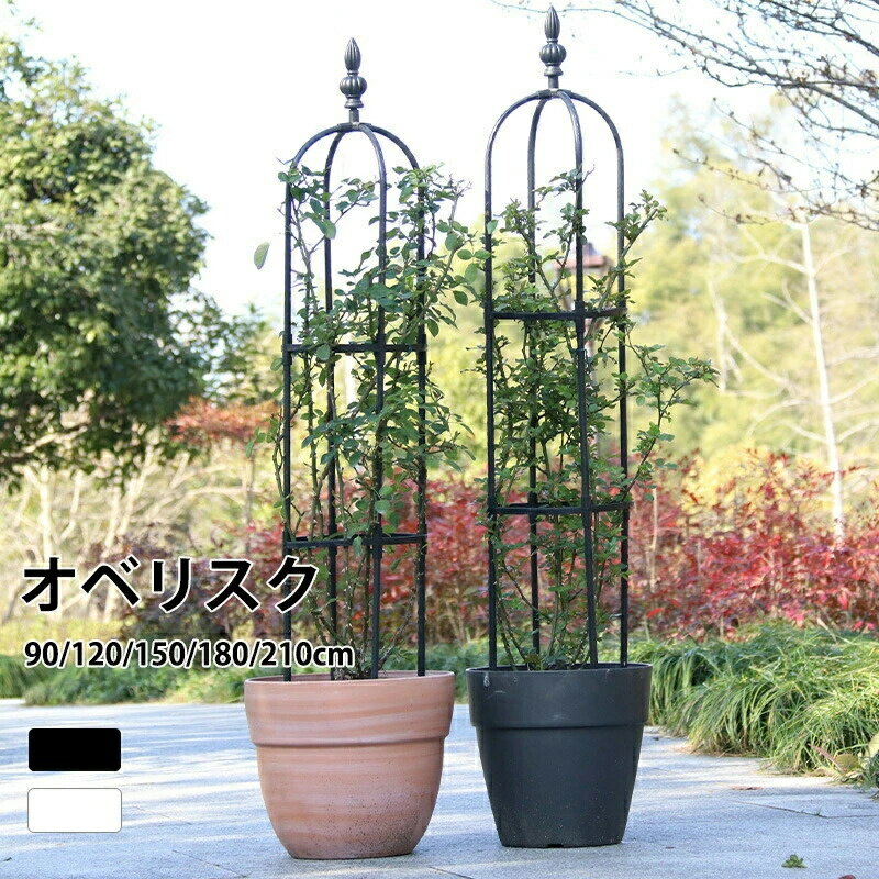 素材/材質 スチールパイプ(樹脂コーティング)、プラスチック サイズ/寸法 直径：約20cm 高さ：約60/90/120/150cm 直径：約25cm 高さ：約90/120/150/180cm 直径：約28cm 高さ：約90/120/150/180cm 直径：約32cm 高さ：約90/120/150/175/180/210cm その他商品説明 商品内容は写真ご参照ください。 植物の成長を補助する 植物の葉が密集しなくなり、光合成を促進。 バランスを整え、重さで茎が折れるのを防げます。 【高さ調節可能 & 簡易組立式】 高さ60/90/120/150cmまで自由に調節可能で、つる性植物の成長に合わせて柔軟に対応。 金属製パーツを組み立てるだけの簡単設置（工具不要）。 【頑丈な金属製デザイン】 金属素材で耐久性抜群。 スタイリッシュなオベリスクアーチ形状で、庭やプランターのアクセントに。 【つる性植物の最適サポート】 バラ（薔薇）、クレマチス、朝顔など、あらゆるつる性植物の誘引に最適。 植物の自然な成長を促し、倒伏を防止。 【おしゃれな園芸装飾】 シンプルでモダンなデザインがガーデンやベランダの景観をアップ。 鉢植えや花壇の立体感を演出。 【多用途活用】 プランター周り、庭の小道、エントランスなど、さまざまな場所に設置可能。 季節の花やライトを絡ませて、オリジナルの装飾アイテムとしても活用。 製造元：中国