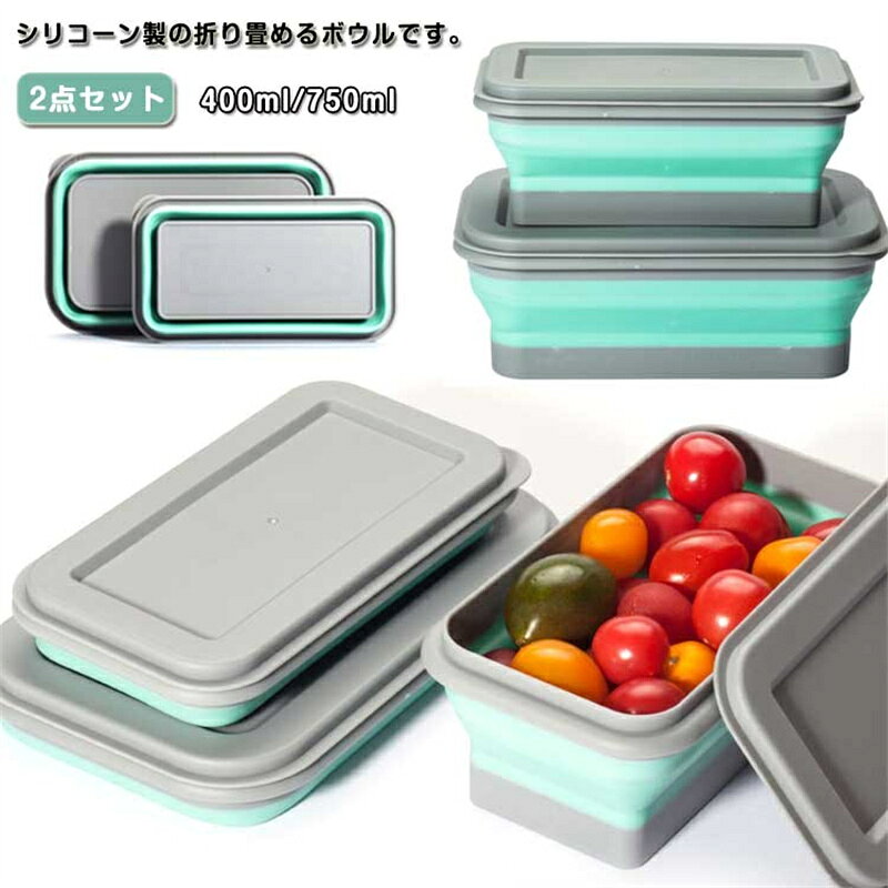 フードボウル 折りたたみシリコンボウル 400ml 750ml 2点セット 蓋つき 軽量 携帯ポータブル 電子レンジ冷蔵庫対応 キャンプ アウトドア 旅行 お出かけ用