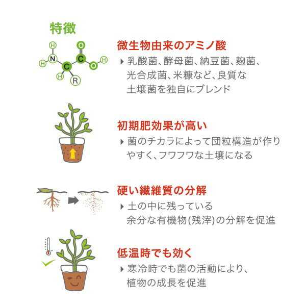 体力ベース 30g テトラパック　地力向上材 3