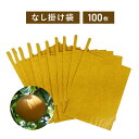 梨二重掛袋 100枚入り【メール便送料無料】 ナシ 掛袋 袋掛
