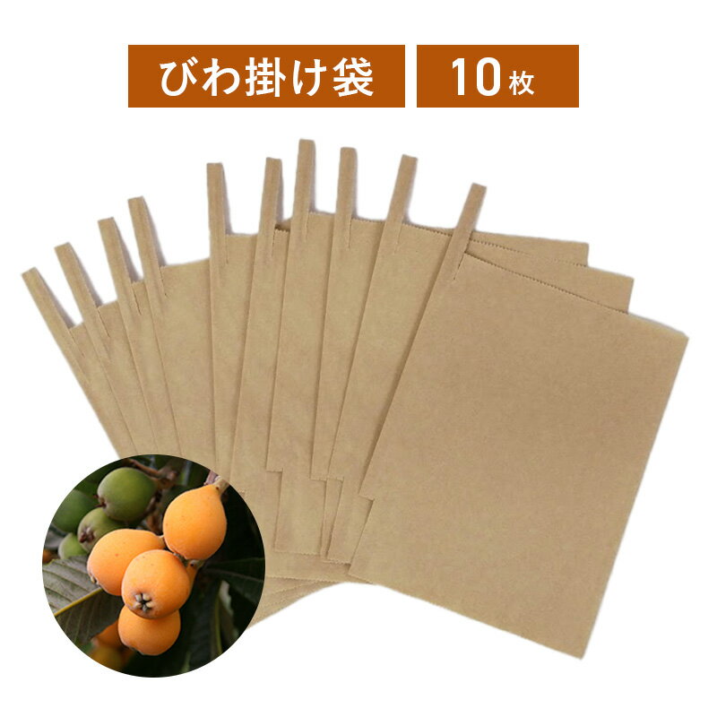 びわ掛袋 房掛け用 10枚入り 果実袋 袋掛け 掛袋 ビワ 枇杷袋